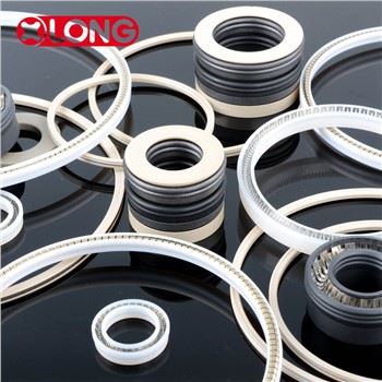 Low Friction PTFE Spring Energized Lip Seals